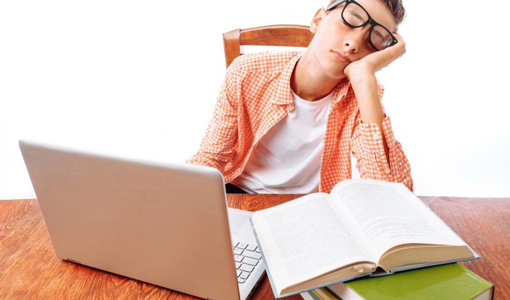 Scuole private a Civitanova Marche