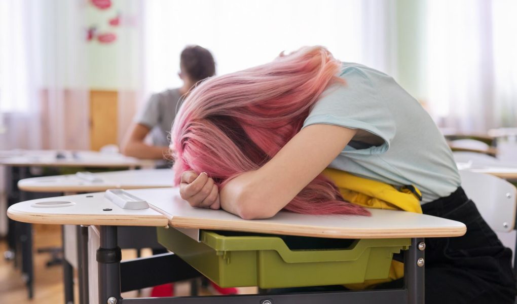 Scuole private a Paternò